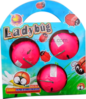 ladybug_no_spots