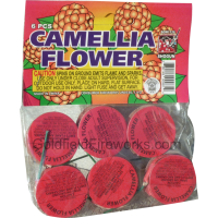 camellia_flower
