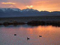Fish Lake Valley