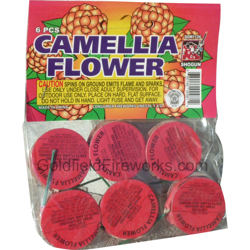 camellia_flower