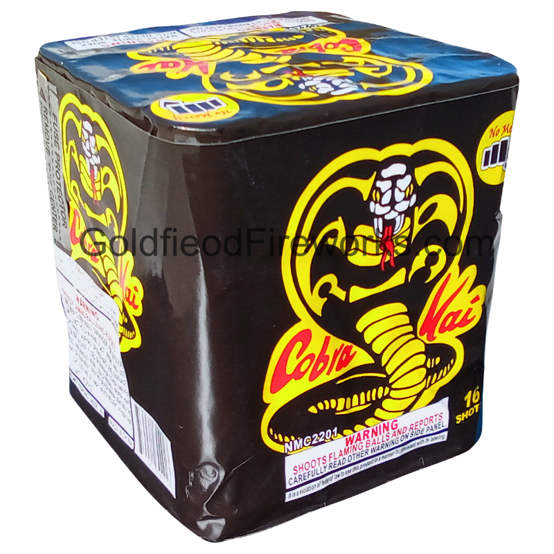 cobra_kai_850560052