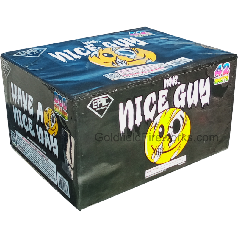 mr_nice_guy